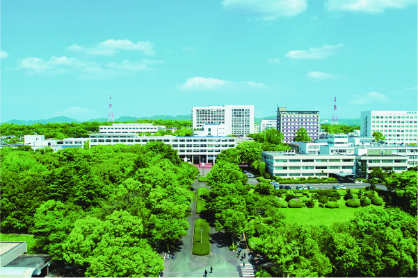 中部大学