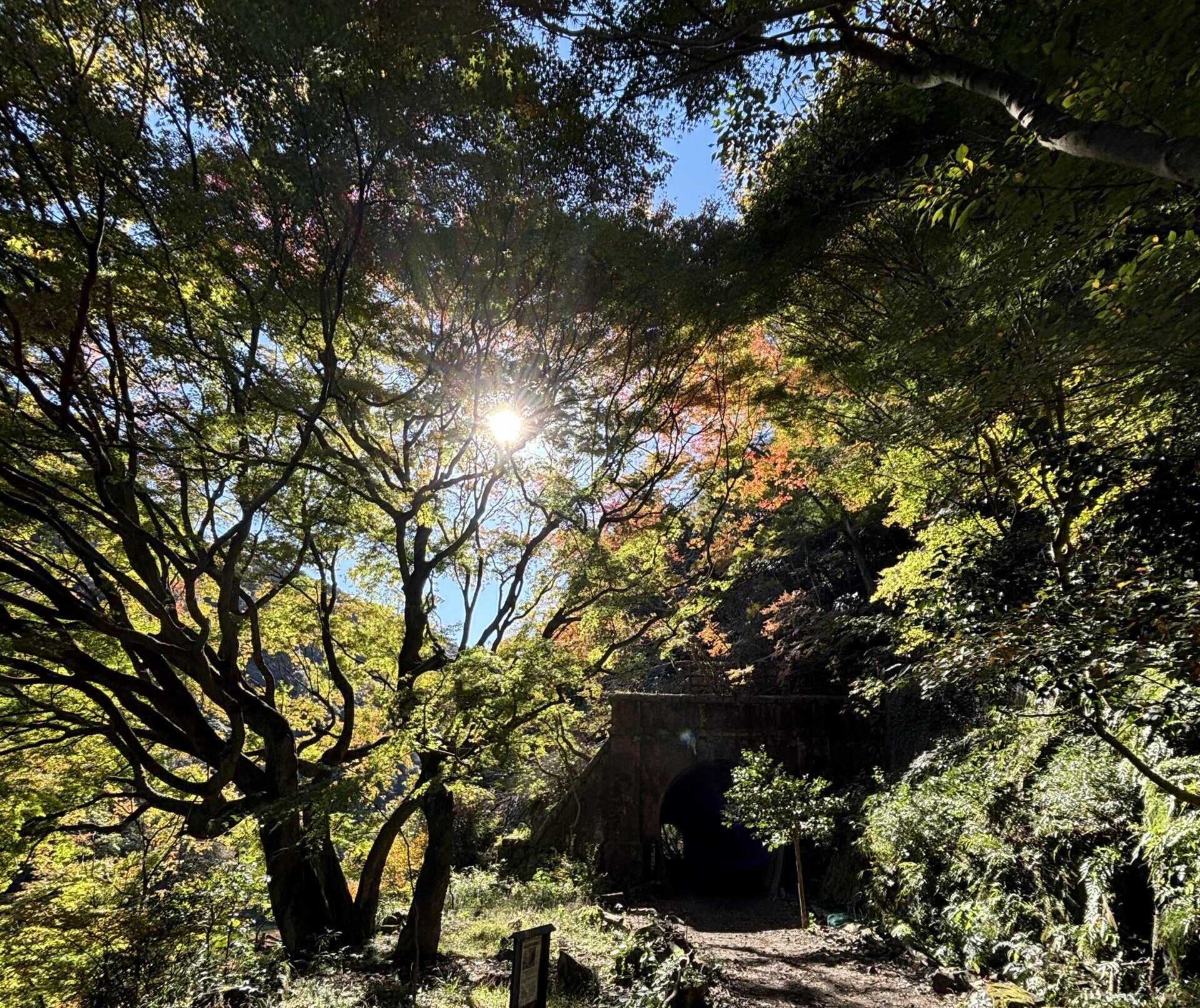 スライド画像