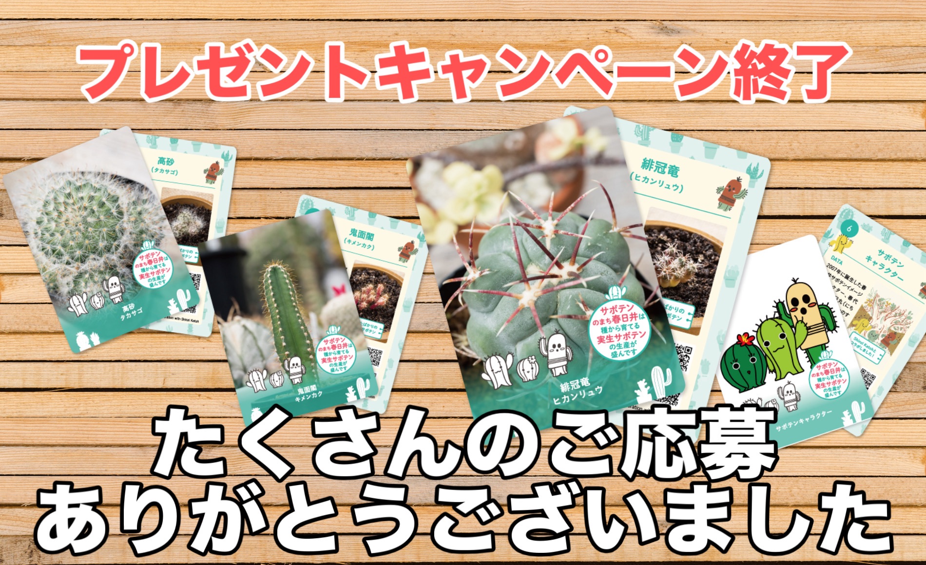 スライド画像